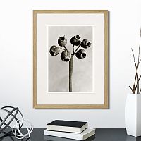 картина: botanical philosophy of forms №4, 1912г. в Астрахани