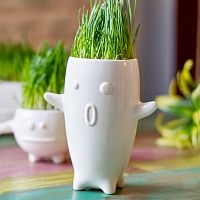 ваза eco тиль в Астрахани