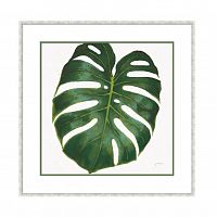 постер monstera зеленый в Астрахани