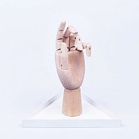 органайзер для украшений the hand белый в Астрахани