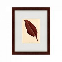 картина: the dark red leaf, 1881 в Астрахани