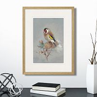 картина: goldfinch on a thistle, 1886г. в Астрахани