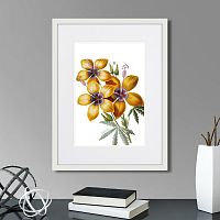 картина: caribian flora yellow hibiscus, 1740г. в Астрахани