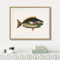 картина: marine life №5, 1725г. в Астрахани