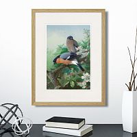картина: bullfinches, 1915г. в Астрахани