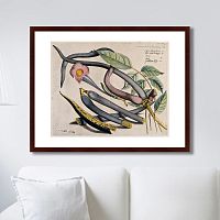 картина: exotic plants of the world №12, 1815г. в Астрахани