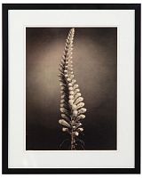 постер с паспарту в раме gentle sepia ver. 5 в Астрахани