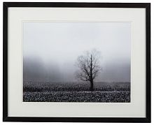 постер с паспарту в раме fog & tree в Астрахани