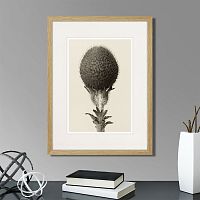 картина: botanical philosophy of forms №6, 1912г. в Астрахани