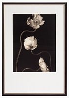 постер с паспарту в раме gentle sepia ver. 3 в Астрахани