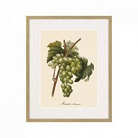картина juicy fruit lithography №13-1, 1870 г., 42х52 см в Астрахани