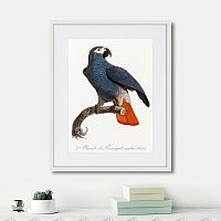 картина: beautiful parrots №5, 1872г. в Астрахани