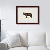 картина: rhinoceros ancienne gravure, 1849 в Астрахани
