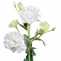 лизиантус белый 77 см (12) в Астрахани