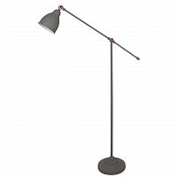 торшер arte lamp braccio a2054pn-1gy в Астрахани