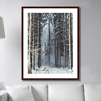 картина: forest, upper austria в Астрахани