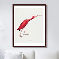 картина: scarlet ibis, 1827г. в Астрахани
