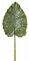 декор giant taro leaf в Астрахани