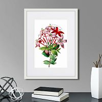 картина: caribian flora red and pink flower, 1740г. в Астрахани