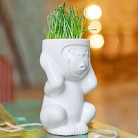 горшок для растений eco игнорик в Астрахани