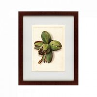 картина: watercolor collection, drawing №1, 1909 в Астрахани