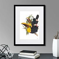 картина: toucans №1, 1849г. в Астрахани