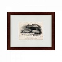 картина: three middlesex pigs, 1848 в Астрахани