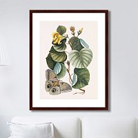 картина: beauty bloom №3, 1732г. в Астрахани