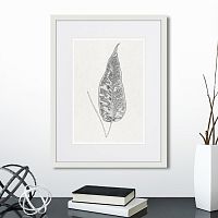 картина: the fern collection №5 в Астрахани