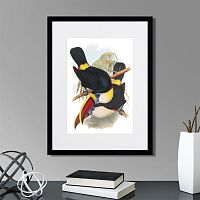 картина: toucans №2, 1849г. в Астрахани