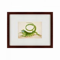 картина: green iguana, 1701 в Астрахани