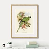 картина: love parrots ii, 1851г. в Астрахани