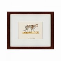 картина: an ocelot, 1801 в Астрахани
