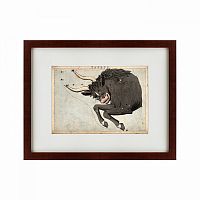 картина: signs of zodiac taurus, 1825 в Астрахани