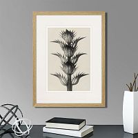 картина: botanical philosophy of forms №7, 1912г. в Астрахани