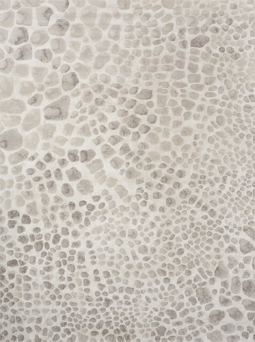 ковер ivory 64227i6575 160x230 в Астрахани