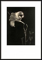 постер с паспарту в раме gentle sepia ver. 6 в Астрахани