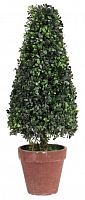 искусственное дерево в горшке topiary в Астрахани
