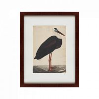 картина: black stork in a landscape, индия, 1780 в Астрахани