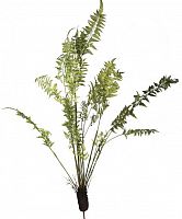 декор fern plant в Астрахани