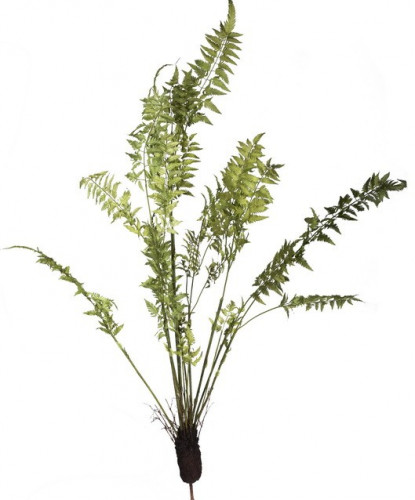 декор fern plant в Астрахани