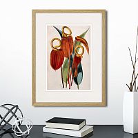 картина: exotic plants of the world №15, 1815г. в Астрахани