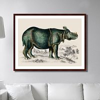 картина: rhinoceros, 1774г. в Астрахани