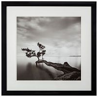 постер с паспарту в раме water tree в Астрахани