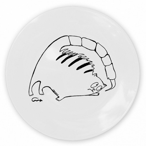 кот-скорпион в Астрахани
