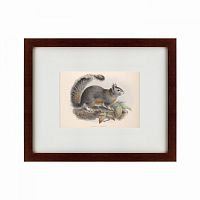 картина: the squirrel, 1879 в Астрахани