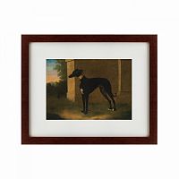 картина: portrait of a greyhound called pompon, 1746 в Астрахани