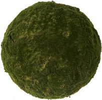 декор moss sun в Астрахани