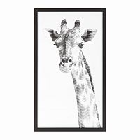 постер giraffe черный в Астрахани