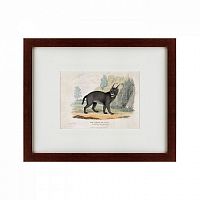 картина: a caracal or lynx, 1830 в Астрахани